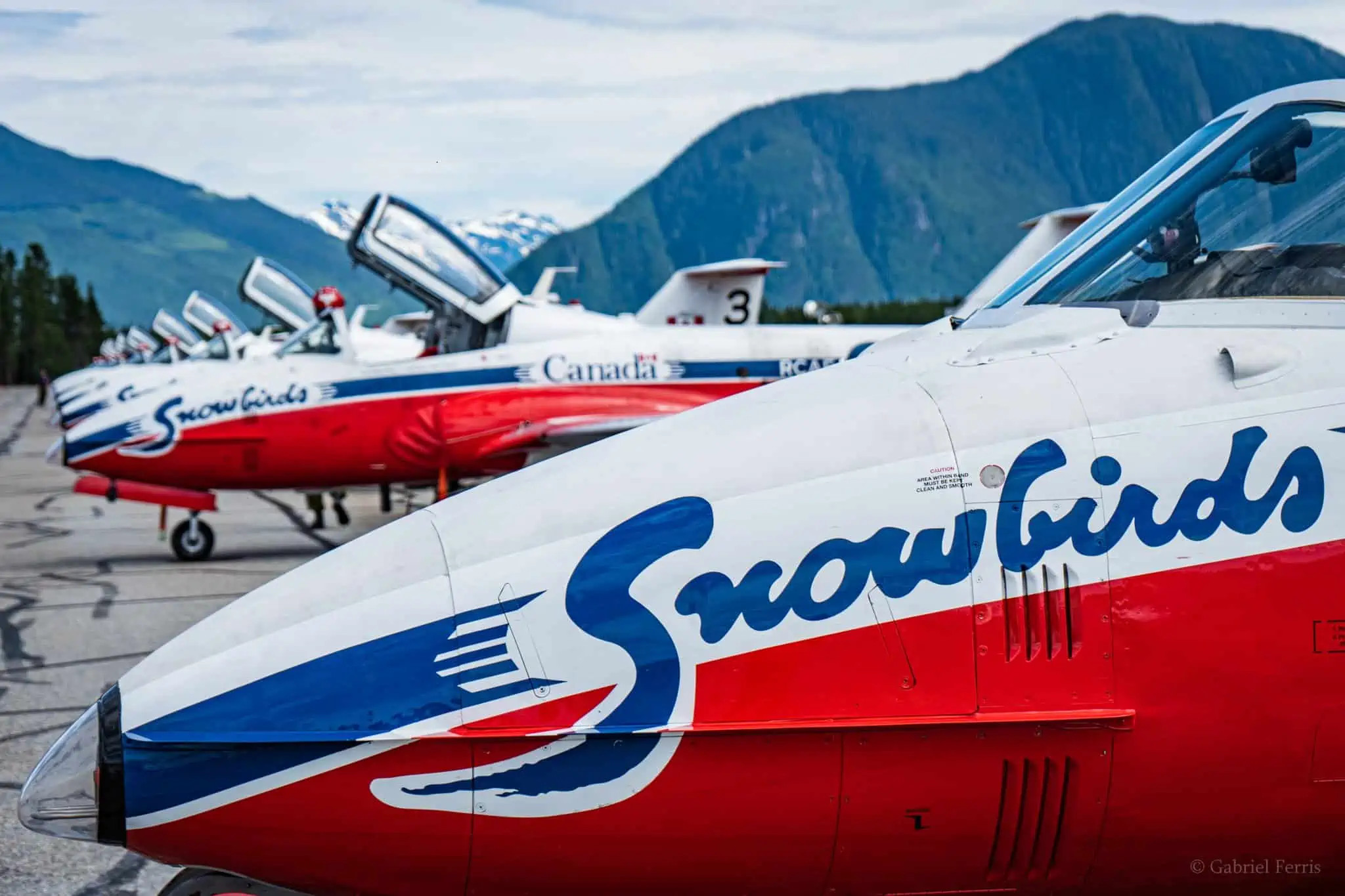 Snowbirds and Red Arrows to Fly Over Ottawa for British High Commission Opening