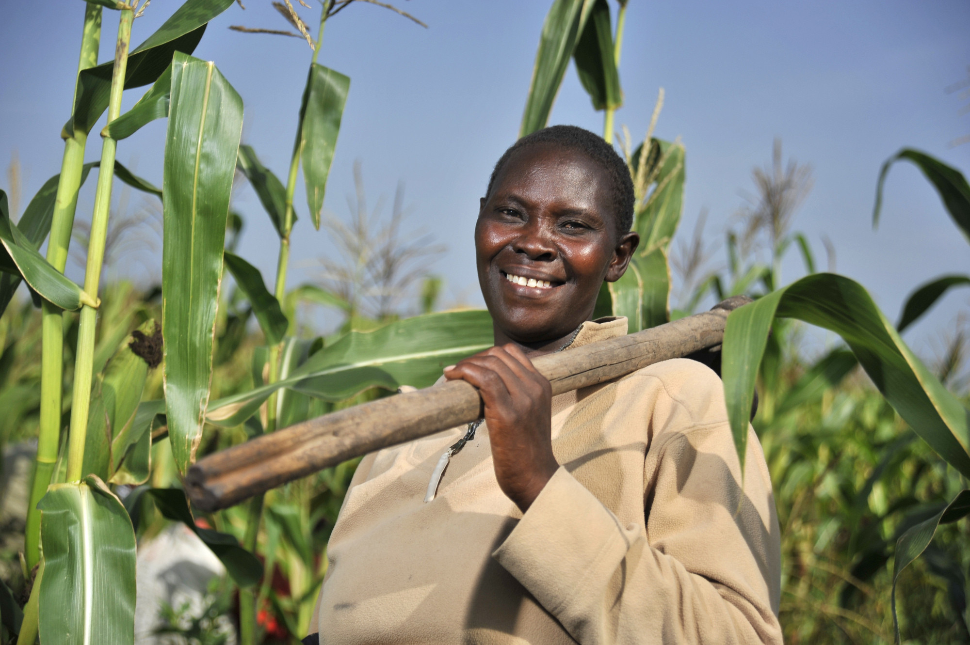 South African Farmers Embrace Innovation and Technology to Stay Competitive