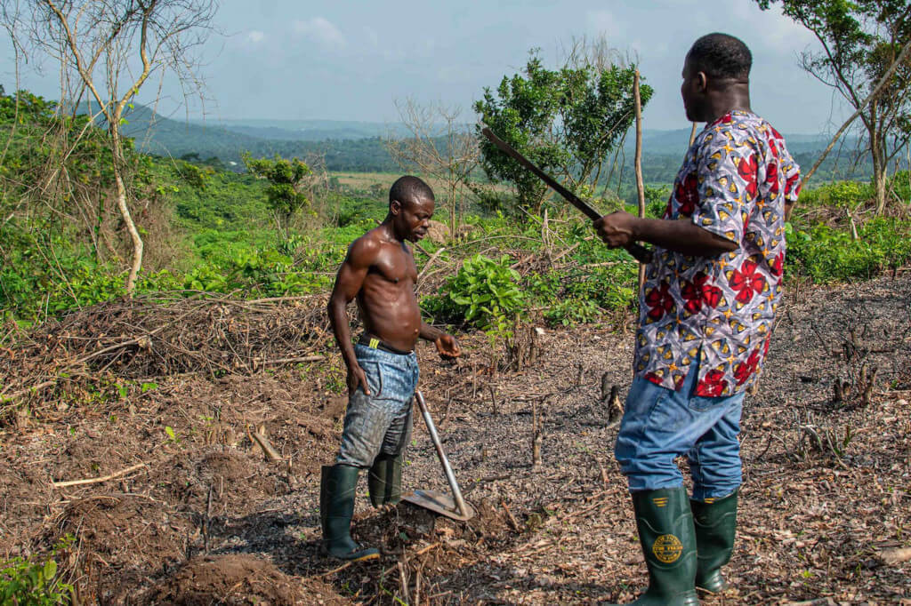 South African Farmers Embrace Innovation and Technology to Stay Competitive