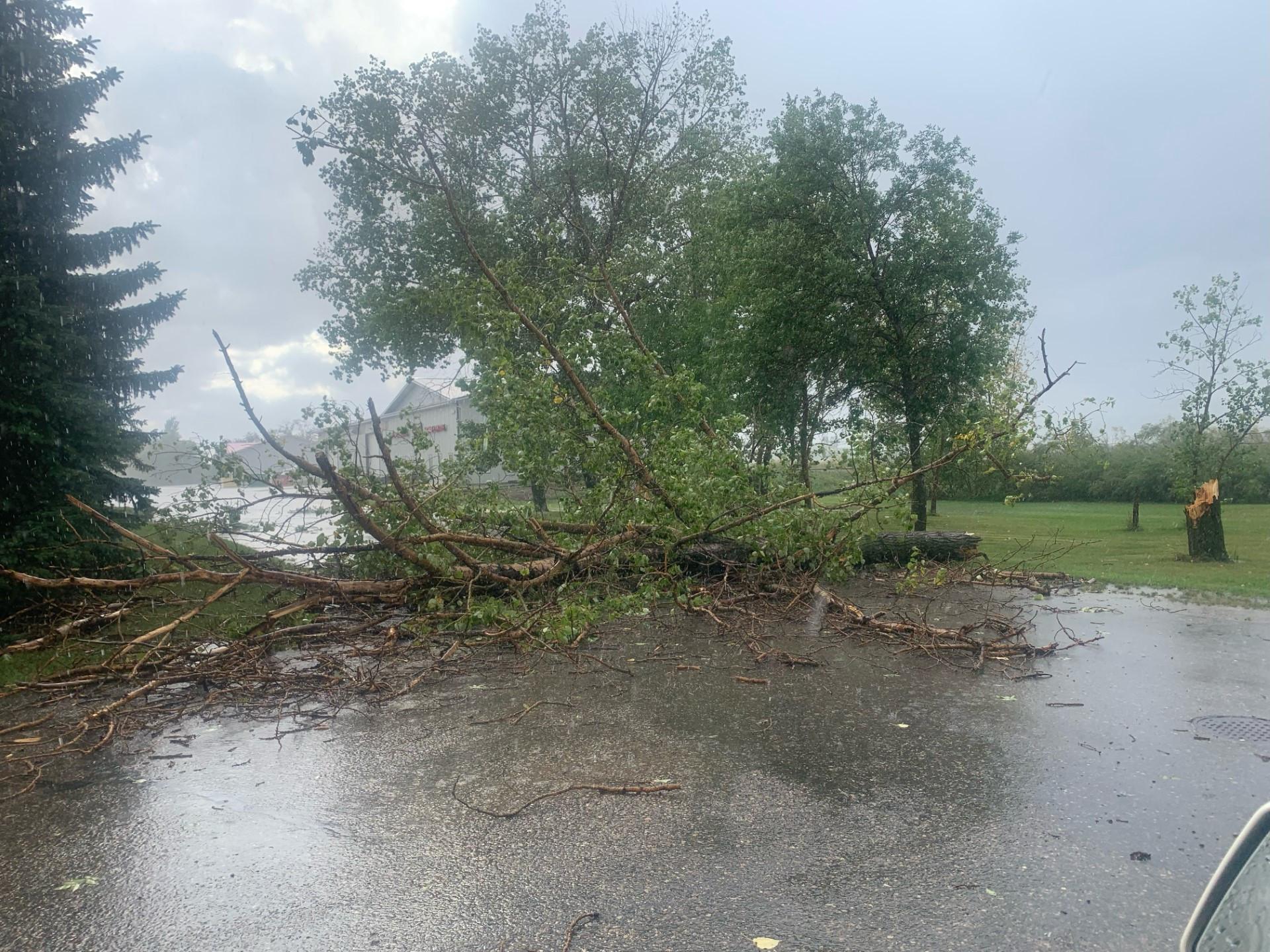 Southeast Saskatchewan Hit by Powerful Thunderstorm, Leaving Widespread Damage in its Wake