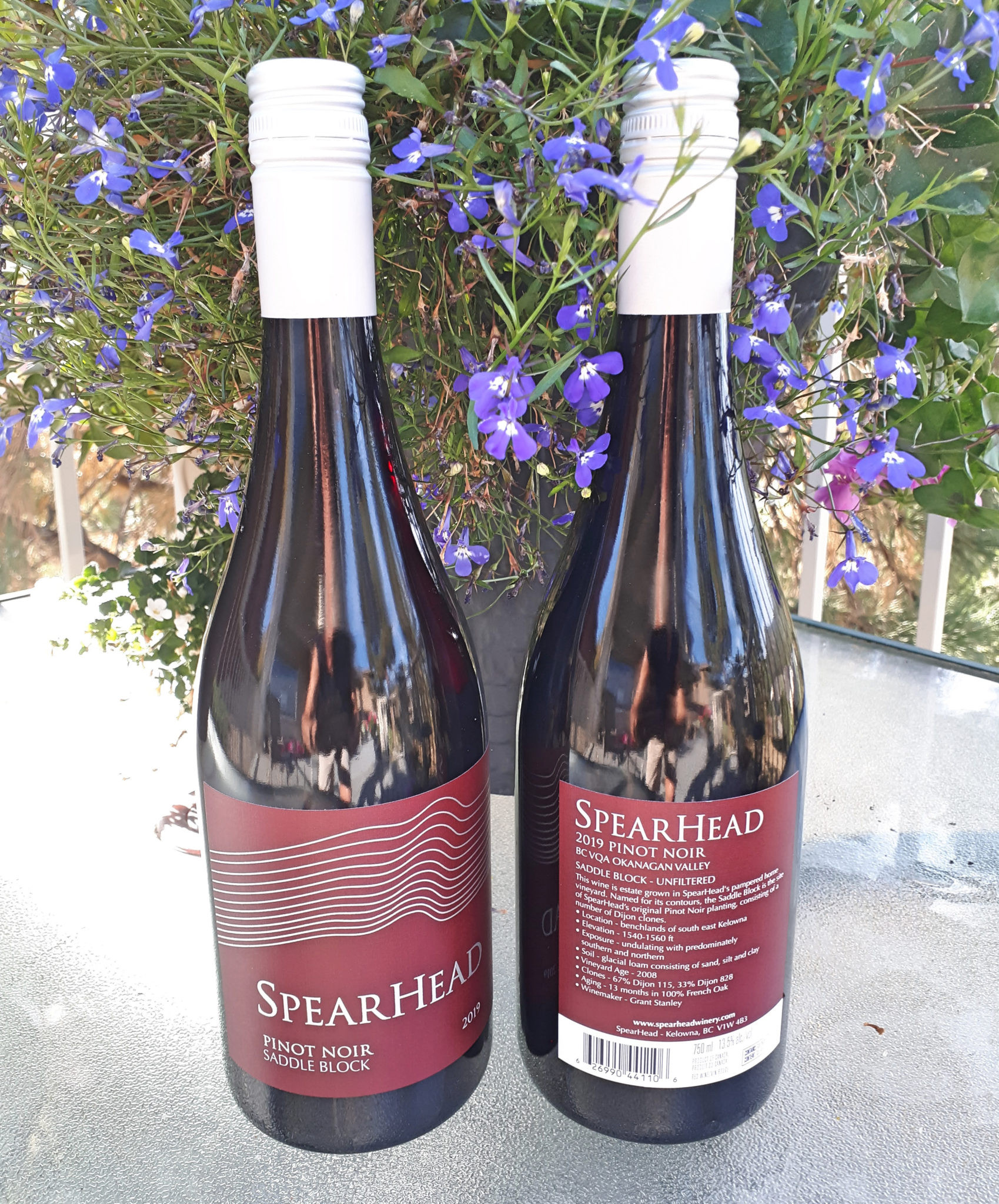 SpearHead Winery Sweeps Pinot Noir Category, Named 'Winery of the Year' at National Wine Awards