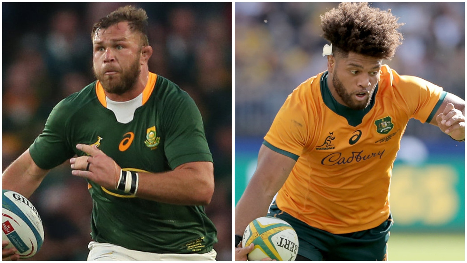 Springboks to End Brisbane Bane: Why History is Irrelevant in Australia vs South Africa Rugby Championship Opener