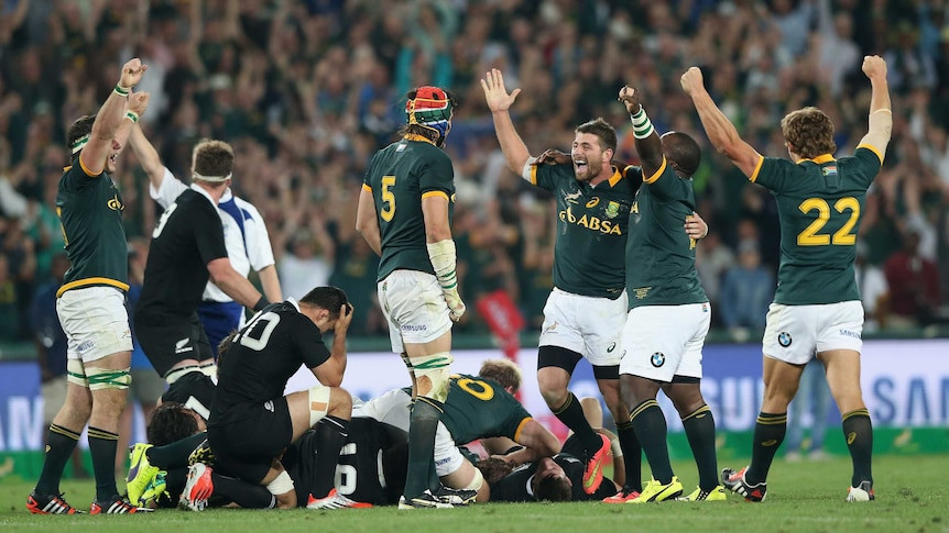 Springboks vs All Blacks: The Rugby Championship Showdown at Ellis Park