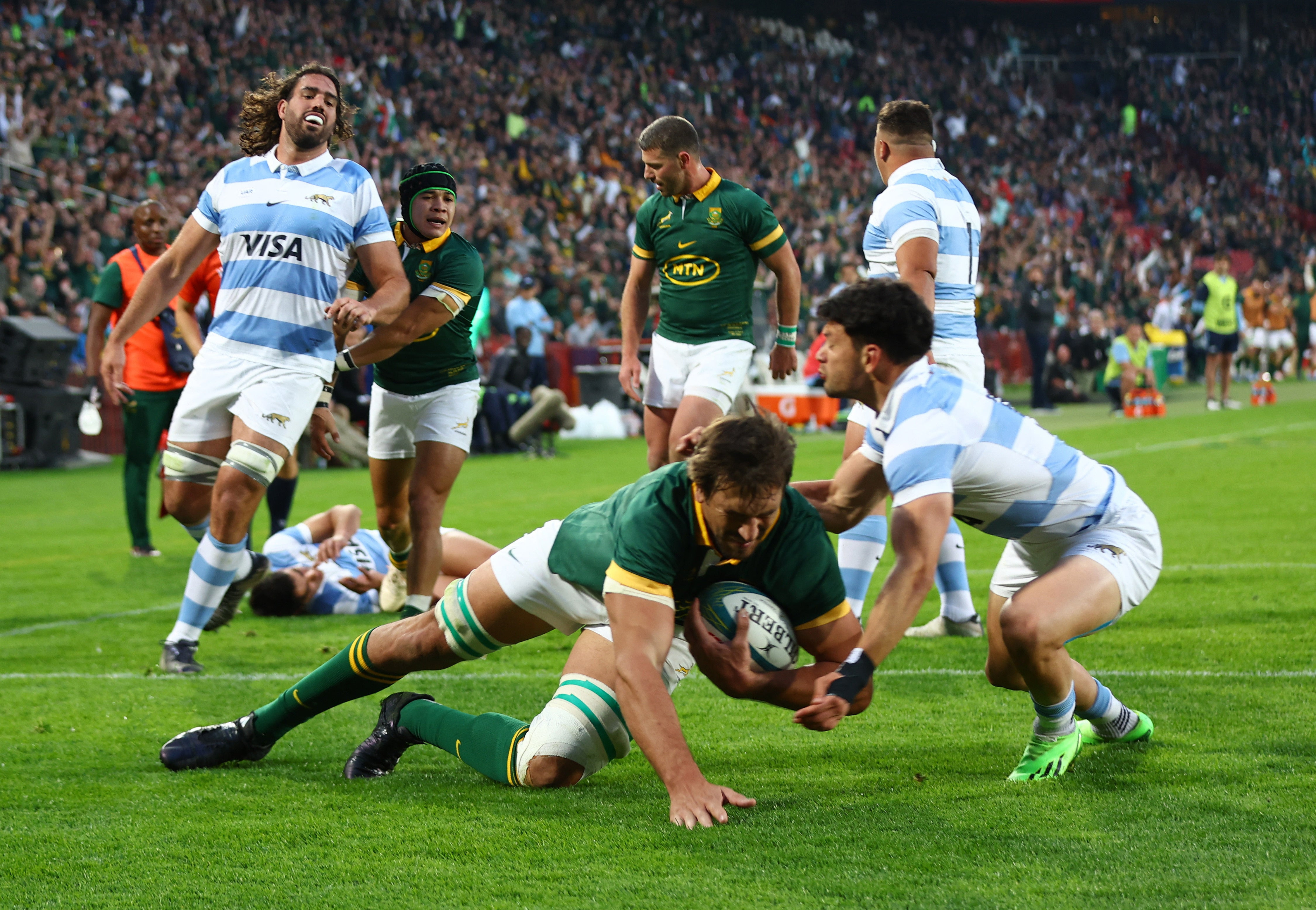 Springboks vs. Pumas: Rugby Championship Showdown for the Title