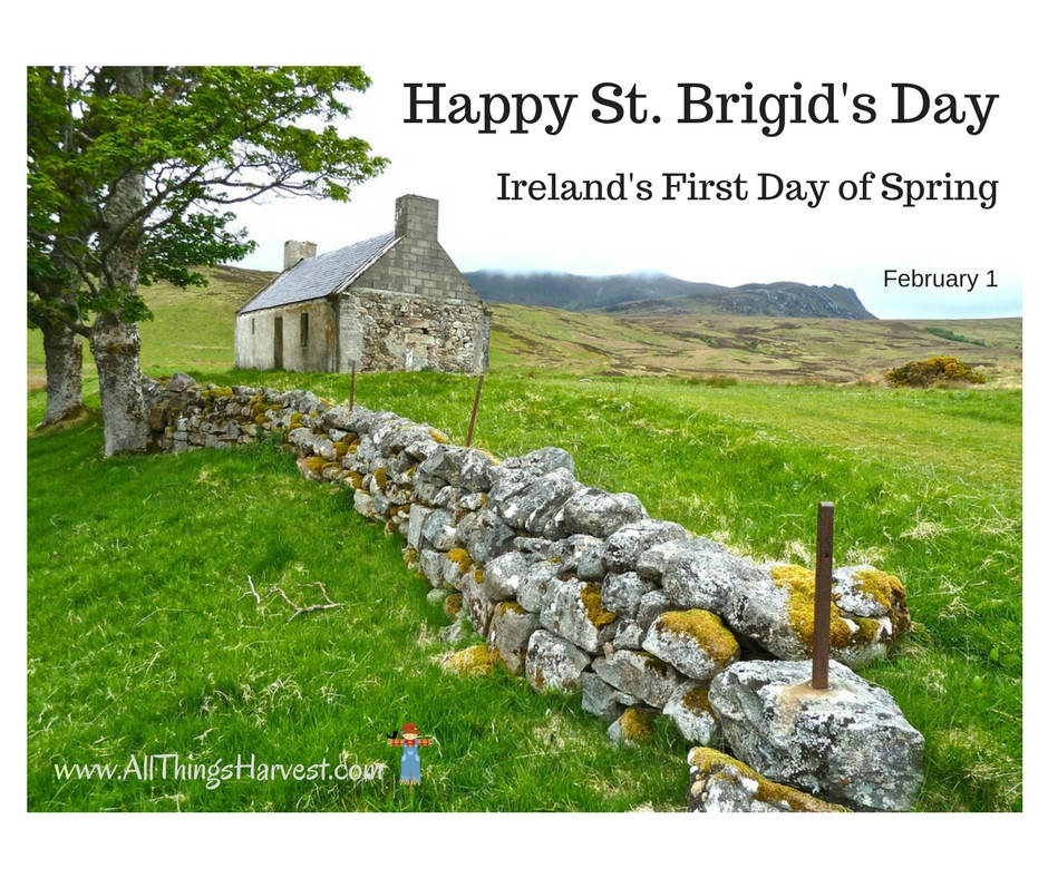 St. Brigid's Day 2025: Nationwide Celebrations & Ancient Traditions Resurrected!