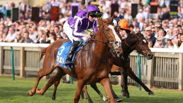 Starzintheireyes's Zetland Stakes Triumph: A Tale of Stamina, Maturity, and a Promising Future