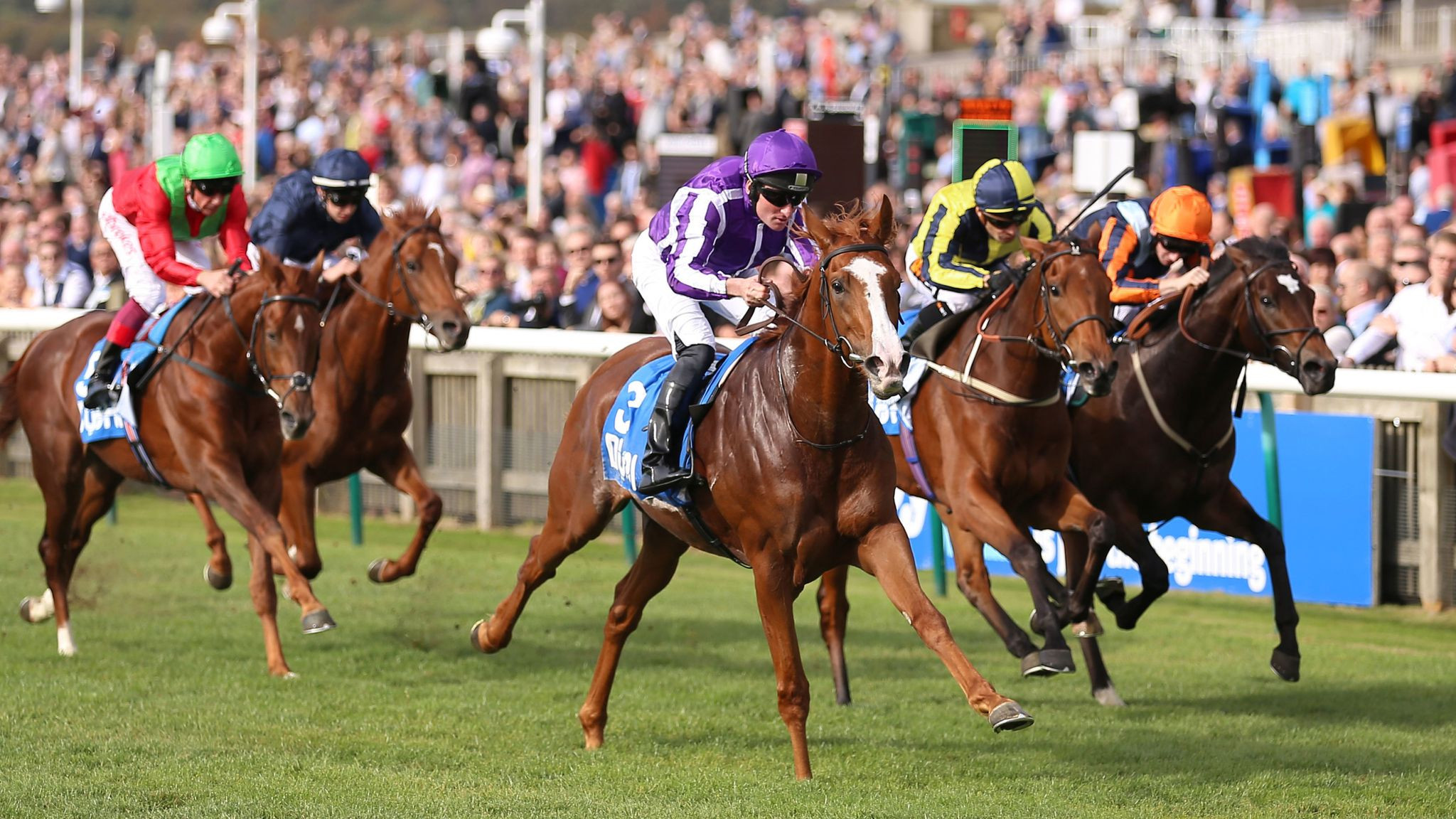 Starzintheireyes's Zetland Stakes Triumph: A Tale of Stamina, Maturity, and a Promising Future