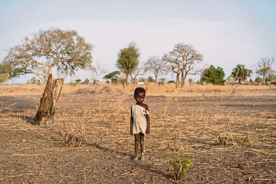 Sudan's Famine: A Global Failure, or Just a 'Tired and Racist' Idea?