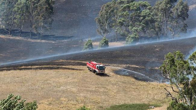 Sydney Homes Threatened by Grassfire, Emergency Warning Issued: Crews Gain Control