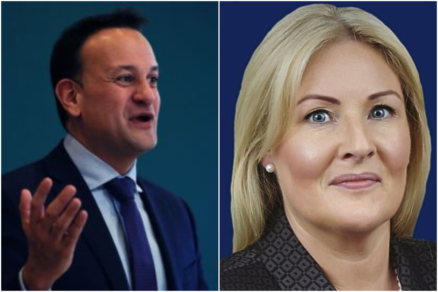 Taoiseach's Election Dilemma: Will He Canvass with Controversial Fine Gael Colleague?