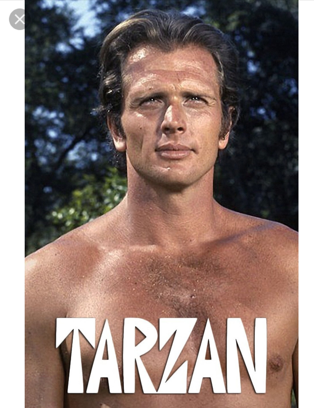 Tarzan Actor Ron Ely Dead at 86: A Life Defined by Jungle Adventures and Family Tragedy