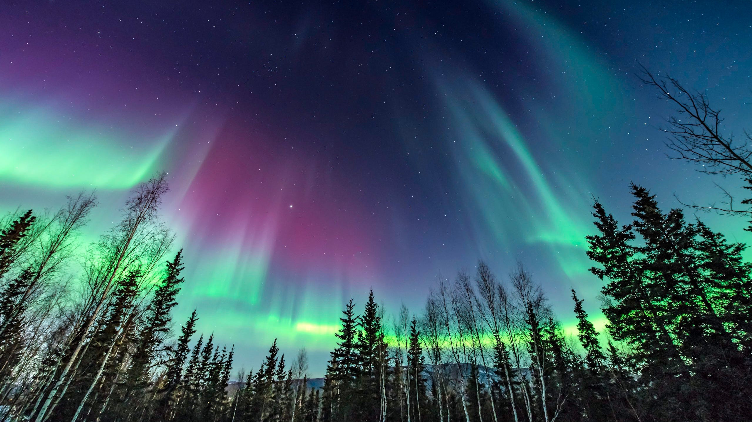 Thanksgiving Surprise! Witness the Stunning Northern Lights Across the US This Week!