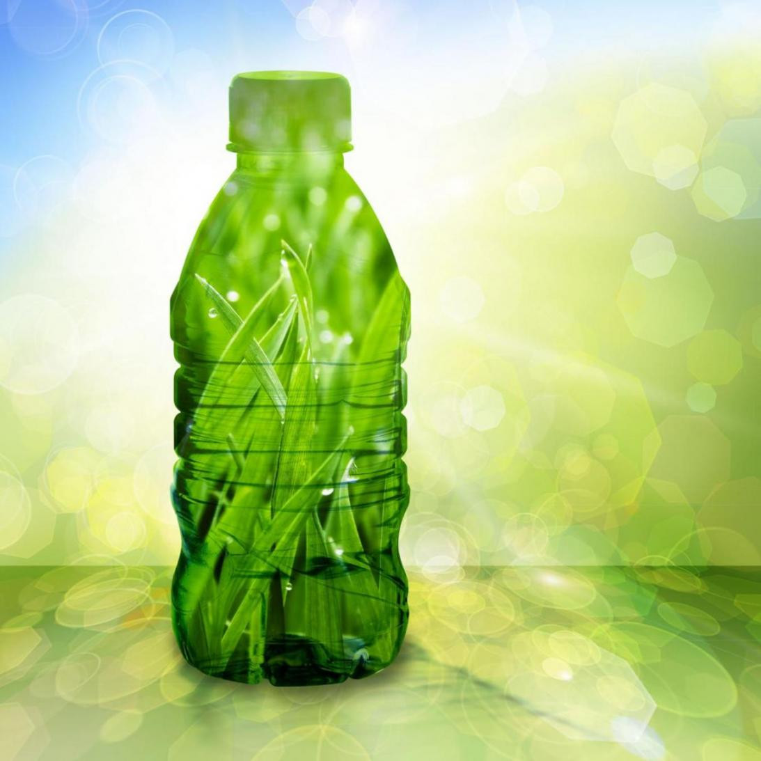 The Bioplastic Revolution: Is It the Answer to Our Plastic Problem?