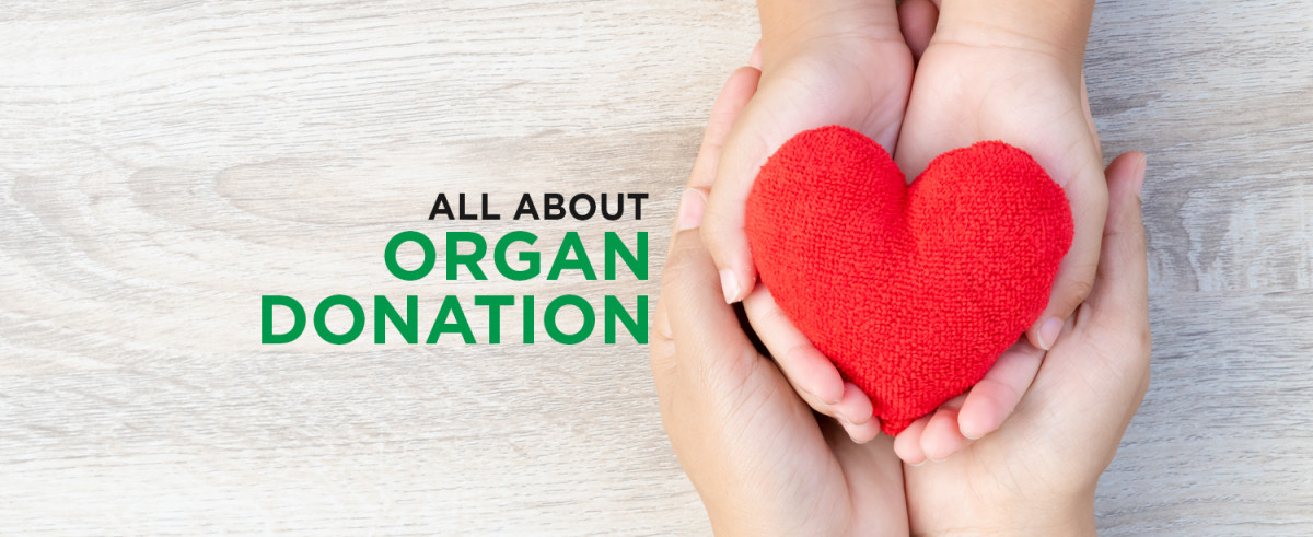 The Surprising Rise of Organ Donation: What You Need to Know