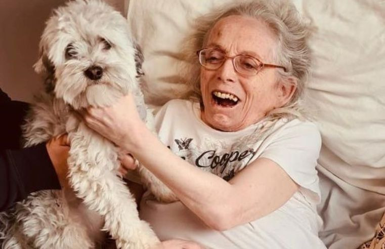 Therapy Dog Boris Brings Joy to Care Home Residents on International Dog Day