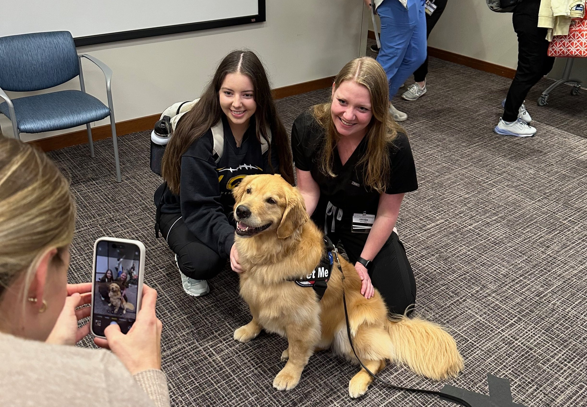 Therapy Dog Boris Brings Joy to Care Home Residents on International Dog Day