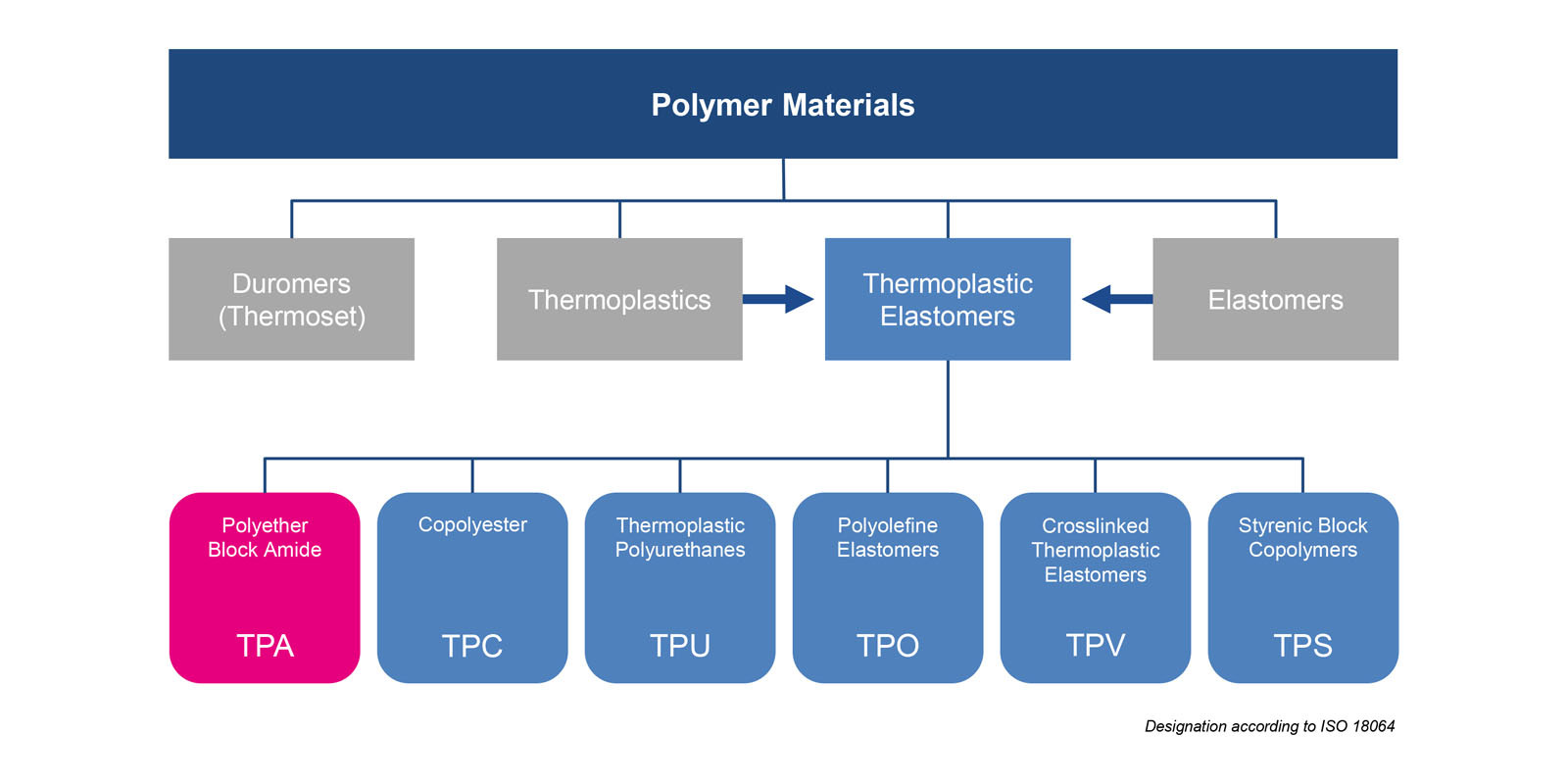 Thermoplastic Polyamide Elastomers Market Soaring: What's Driving This Growth?