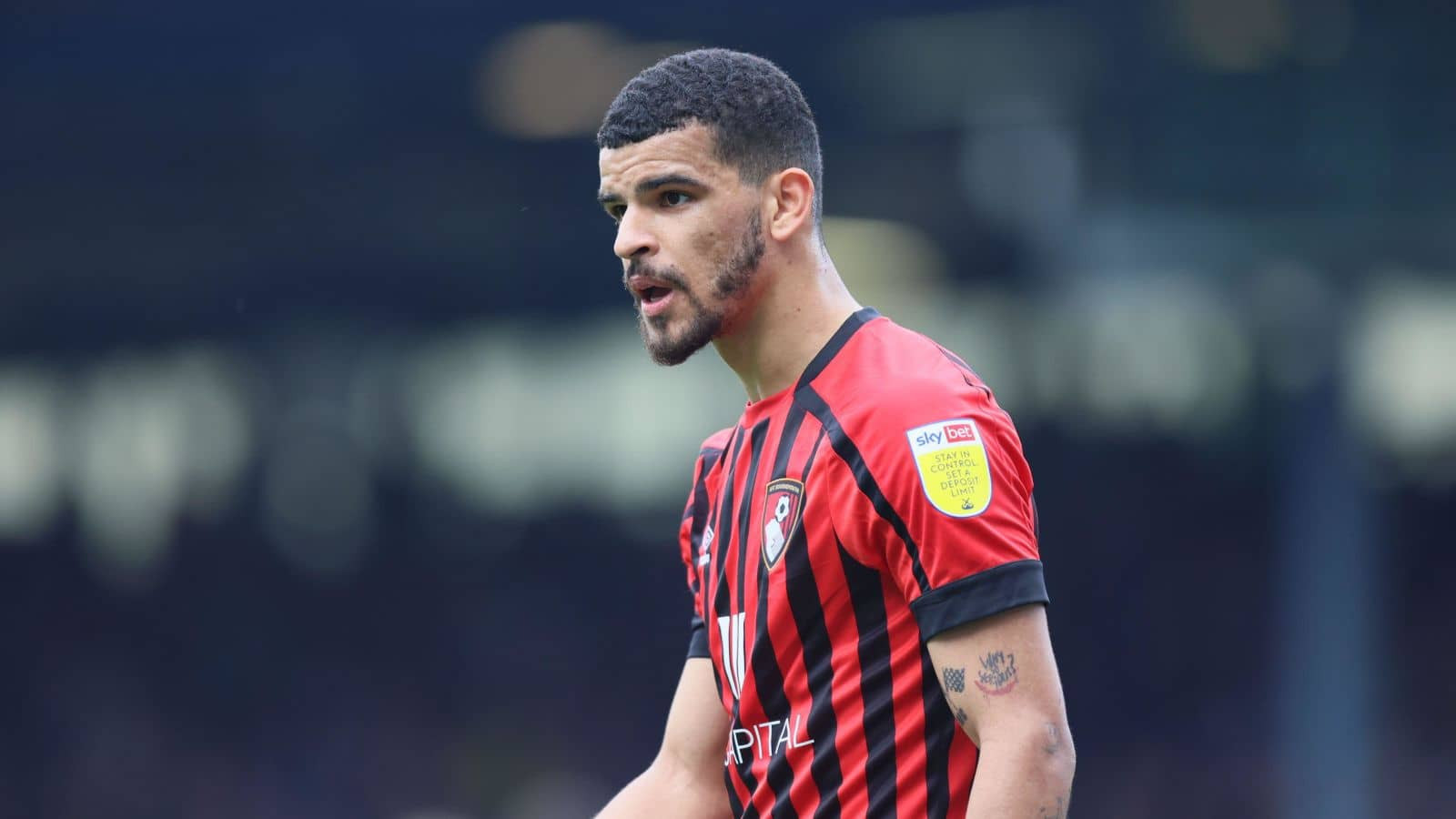 Tottenham Close to Record-Breaking £65m Deal for Bournemouth's Dominic Solanke