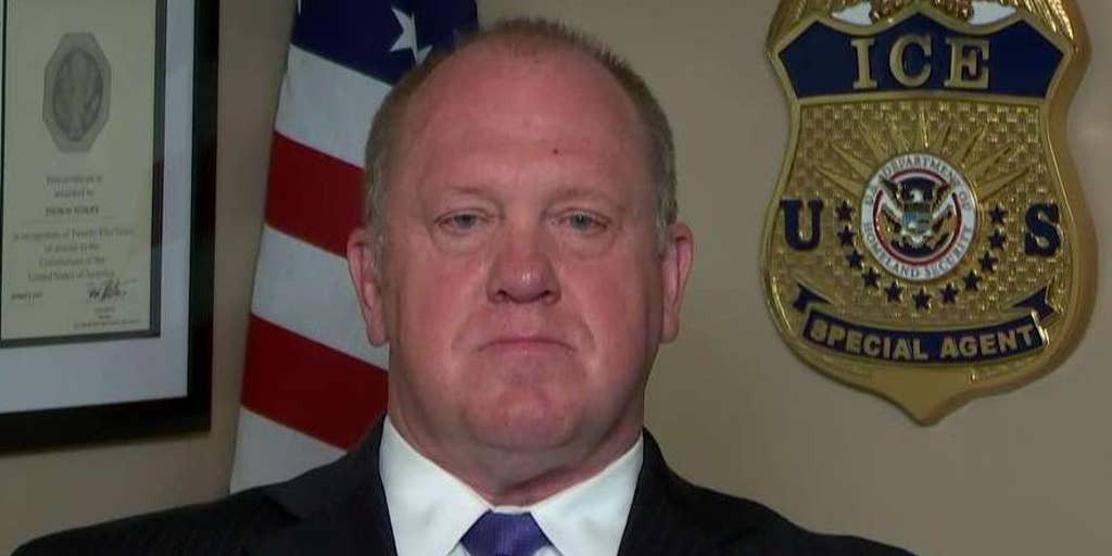 Trump Appoints Former ICE Director Tom Homan as 'Border Czar' to Enforce Mass Deportations