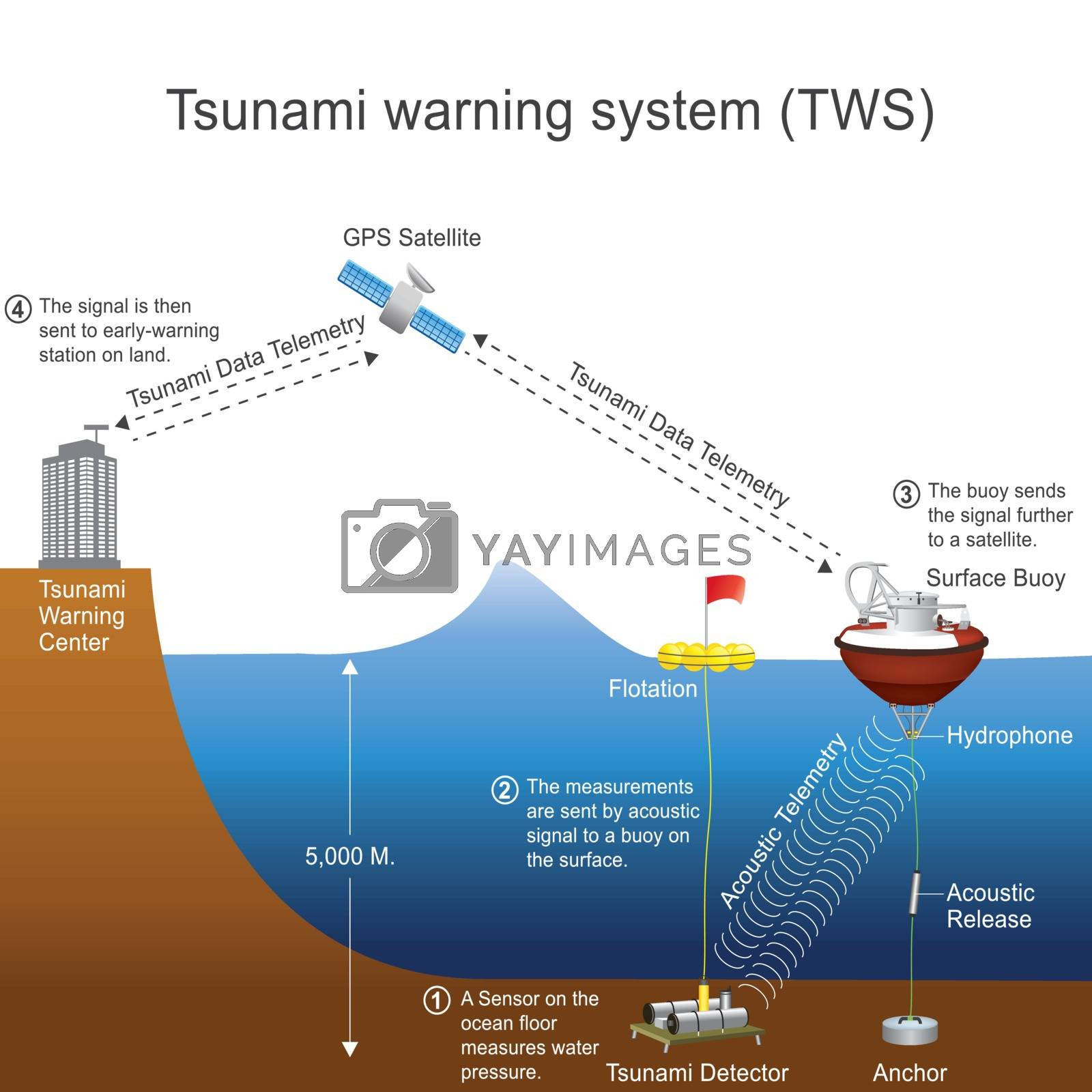 Tsunami Warning System Test Sparks Panic Across Australia, But There's No Threat