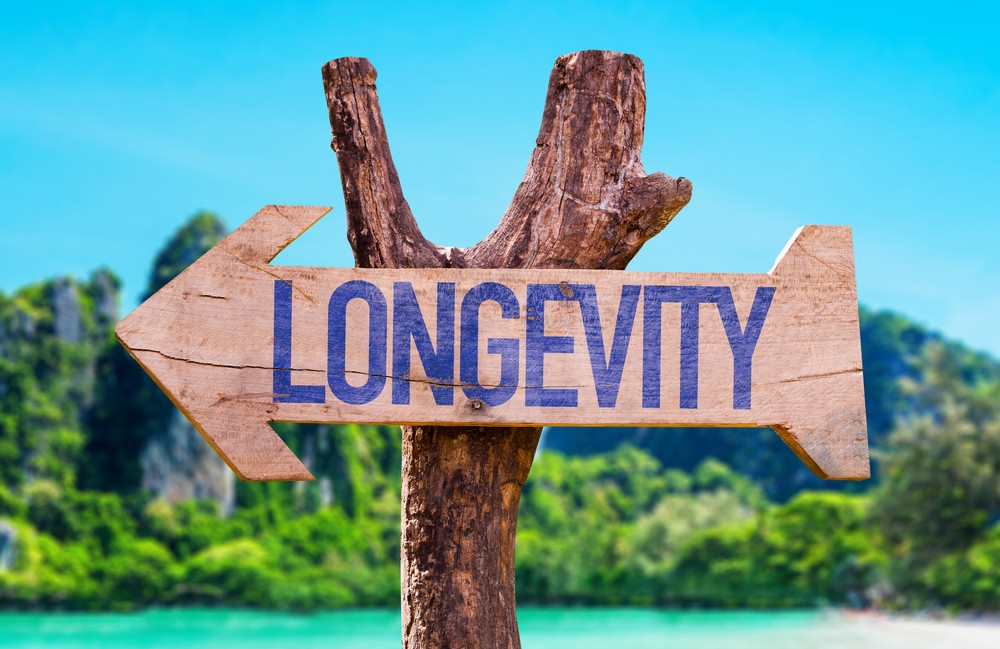 UK Adults More Focused on Physical Longevity Than Financial Planning: Survey Reveals Worrying Disconnect