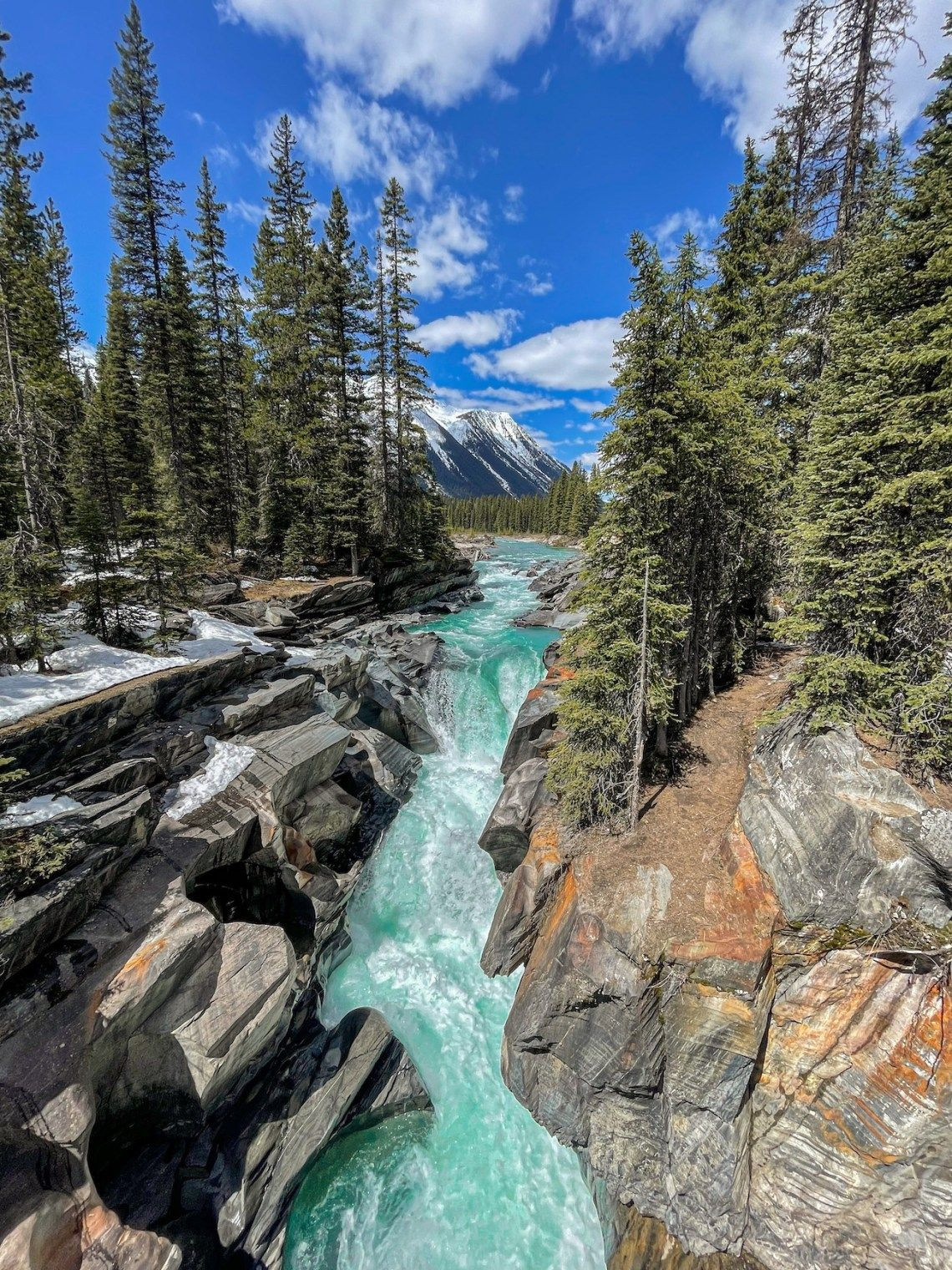 Unforgettable Kootenay Experiences: 5 Festive Holiday Activities for Families