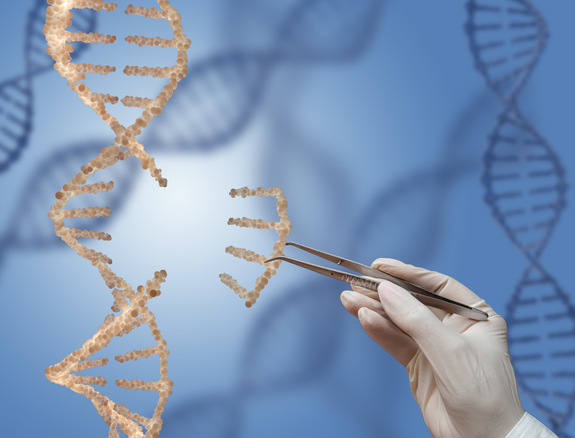 Université de Montréal Leverages CRISPR Gene Editing for Groundbreaking Research