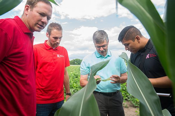 UNL Professor Named Assistant Director for NSF's Mathematical and Physical Sciences