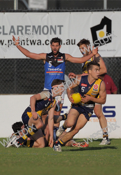 WAFL Prelim: Swan Districts vs. Peel Thunder - Can Swans Avenge Qualifying Final Loss?