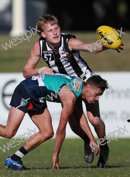 WAFL Prelim: Swan Districts vs. Peel Thunder - Can Swans Avenge Qualifying Final Loss?