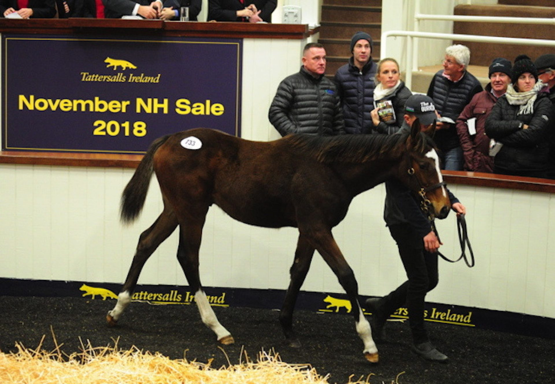 Walk In The Park Colt Leads Strong Trade at Tattersalls Ireland November NH Sale