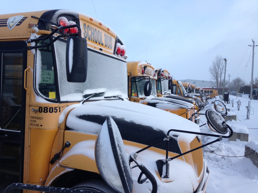 Waterloo Region School Bus Cancellation Amidst Light Snow: Was it an Overreaction?