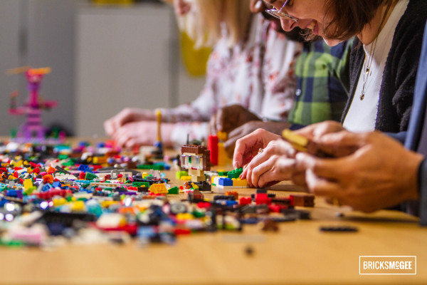 Wellington Artist Shares Joy of Printing with LEGO at Family-Friendly Workshops