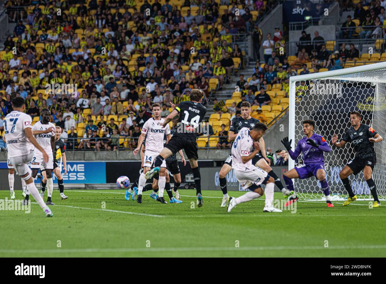 Wellington Phoenix Injury Crisis: Key Players Out for A-League Clash Against Melbourne Victory