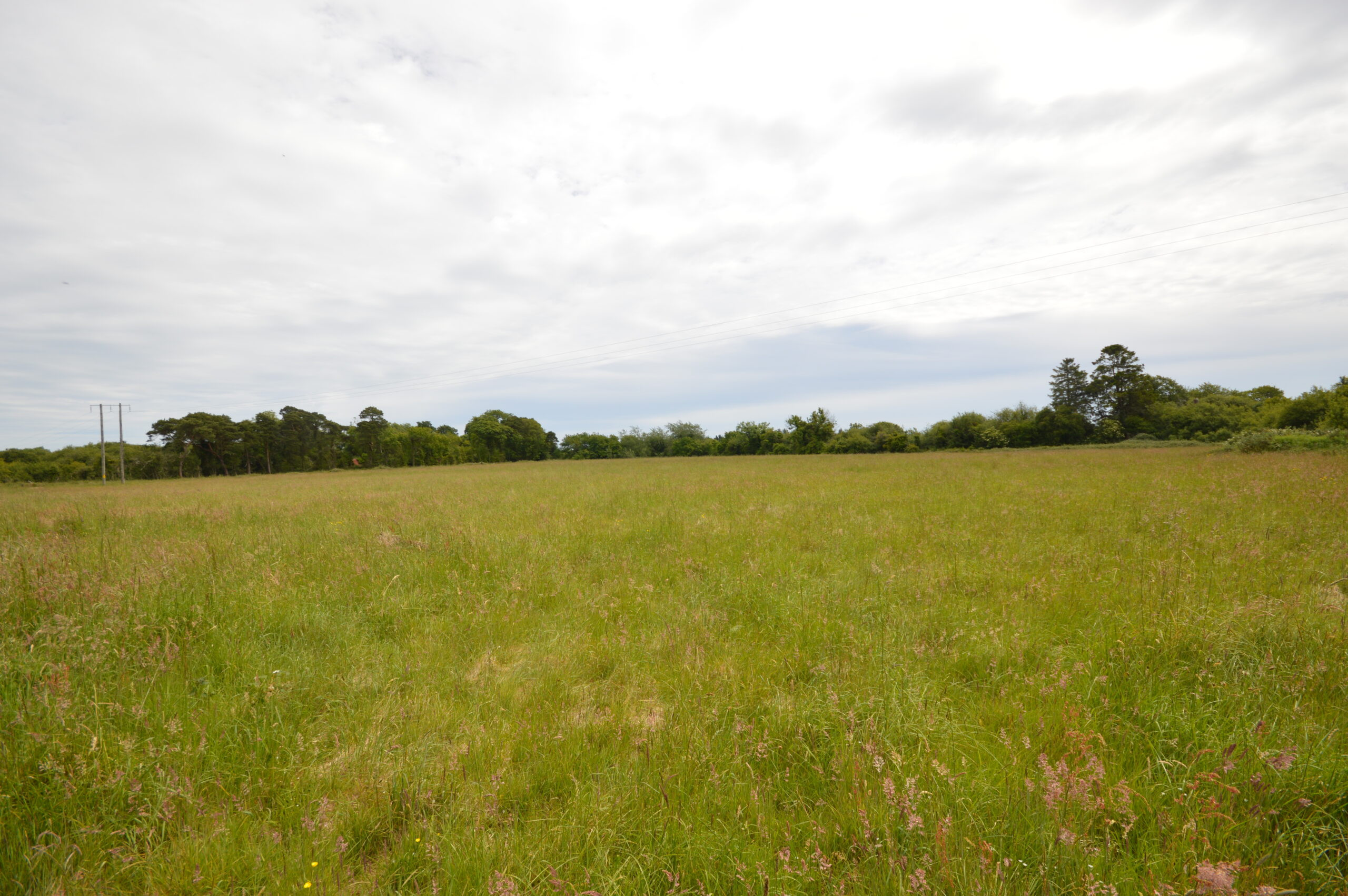 Wexford Farm Sells for €25,000/ac at Auction: A Look at the Bidding War and Winning Price