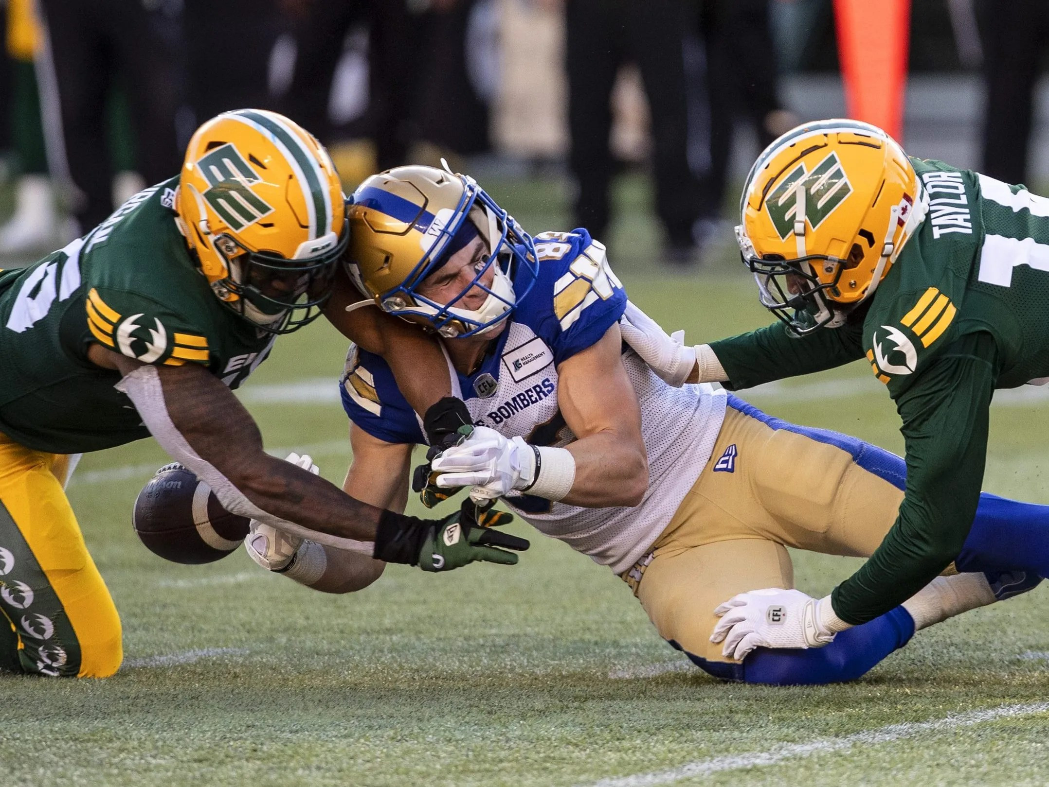 Winnipeg Blue Bombers and Edmonton Elks: A Tale of Two Teams on the Rise