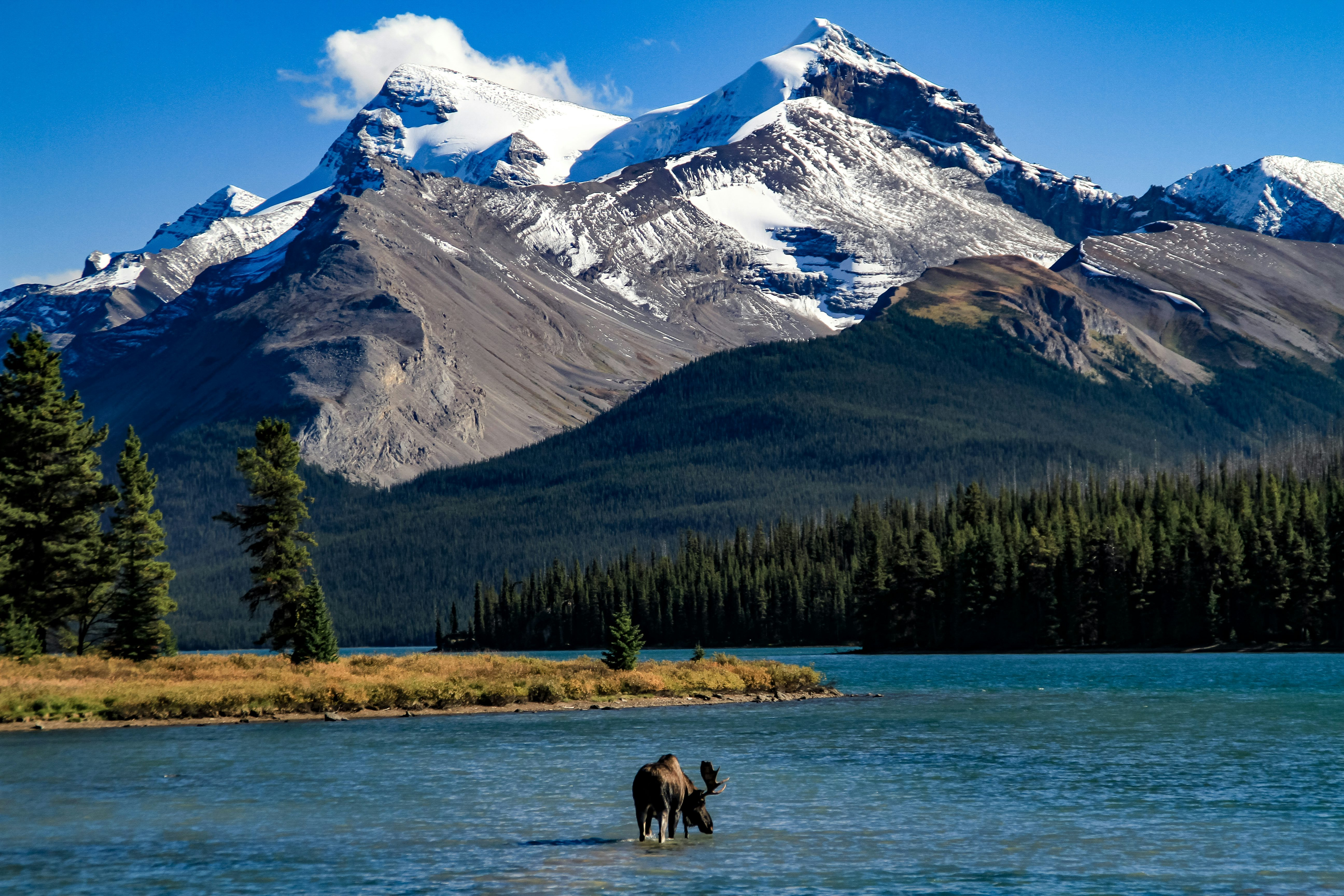 Yukon To Be Connected To North American Grid: $60 Million Invested For Power Line & Mine Road