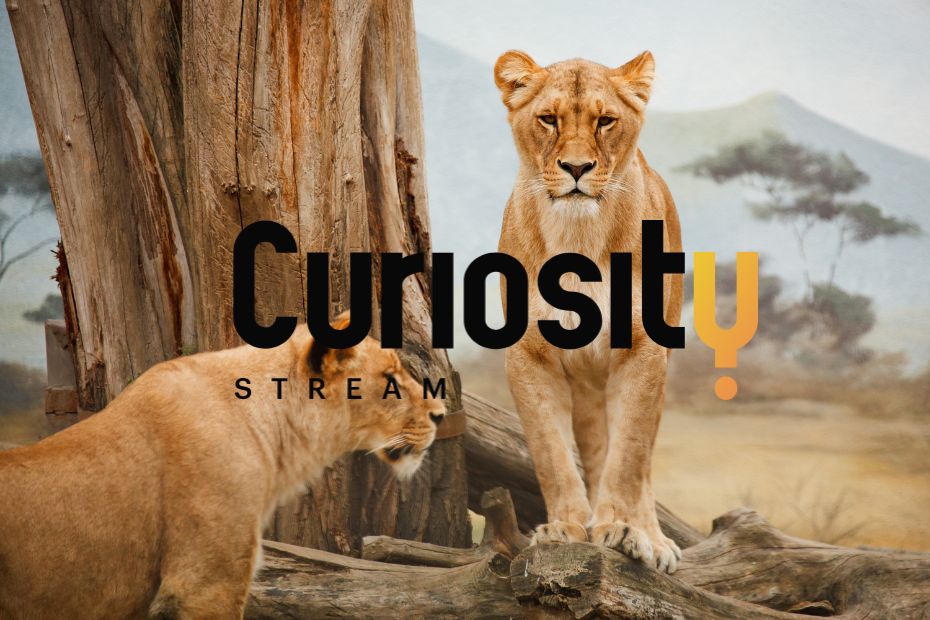 Is Curiosity Stream Doomed
